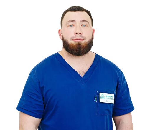 Медведев Дмитрий Сергеевич